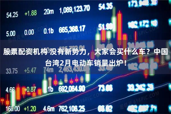 股票配资机构 没有新势力，大家会买什么车？中国台湾2月电动车销量出炉！