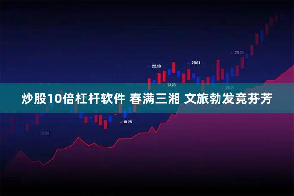 炒股10倍杠杆软件 春满三湘 文旅勃发竞芬芳