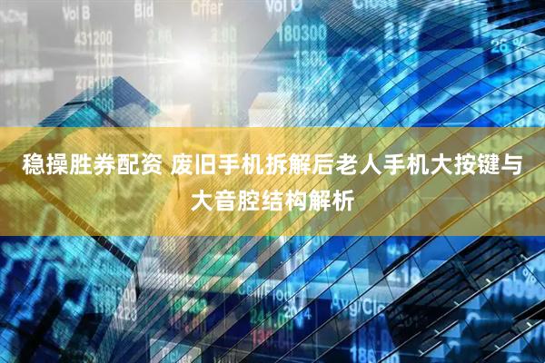 稳操胜券配资 废旧手机拆解后老人手机大按键与大音腔结构解析